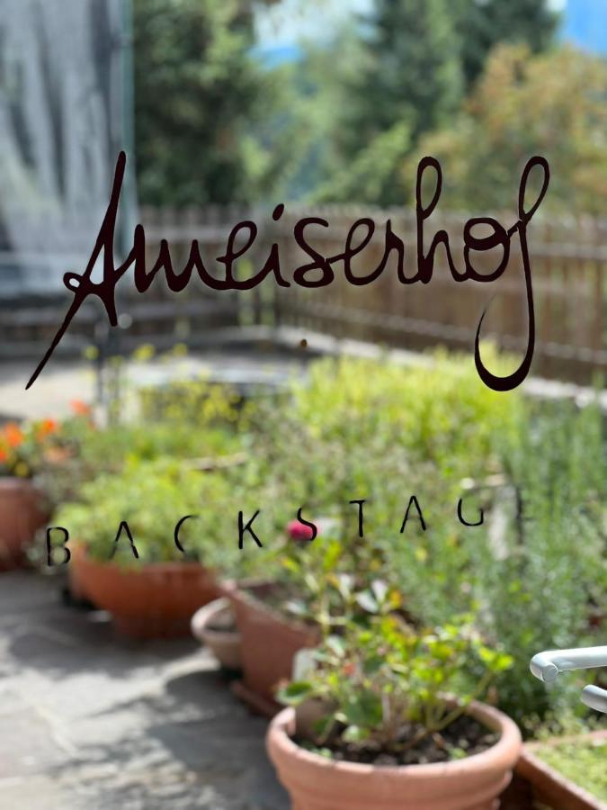 Ameiserhof Guesthouse コッラルボ エクステリア 写真