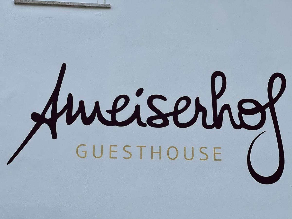 Ameiserhof Guesthouse コッラルボ エクステリア 写真