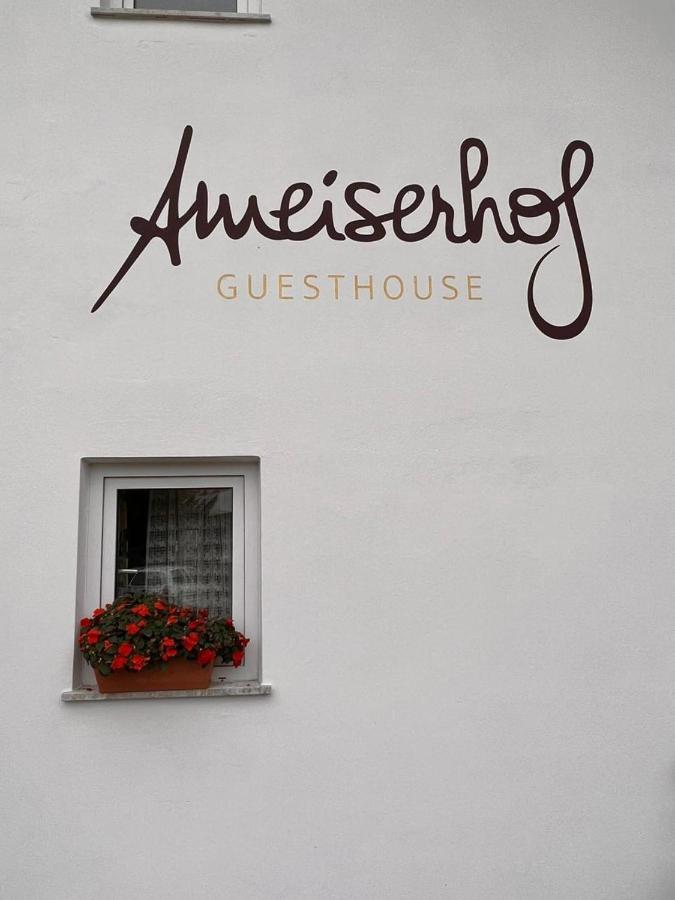 Ameiserhof Guesthouse コッラルボ エクステリア 写真